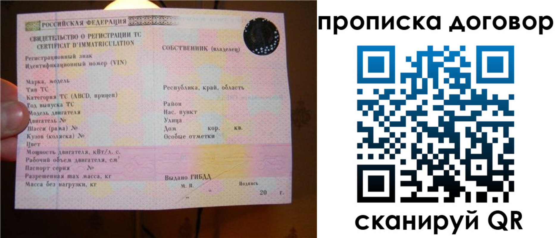 временная регистрация поиск в Камчатском крае